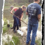 photo of Integrated Science students measuring investigating pond snails